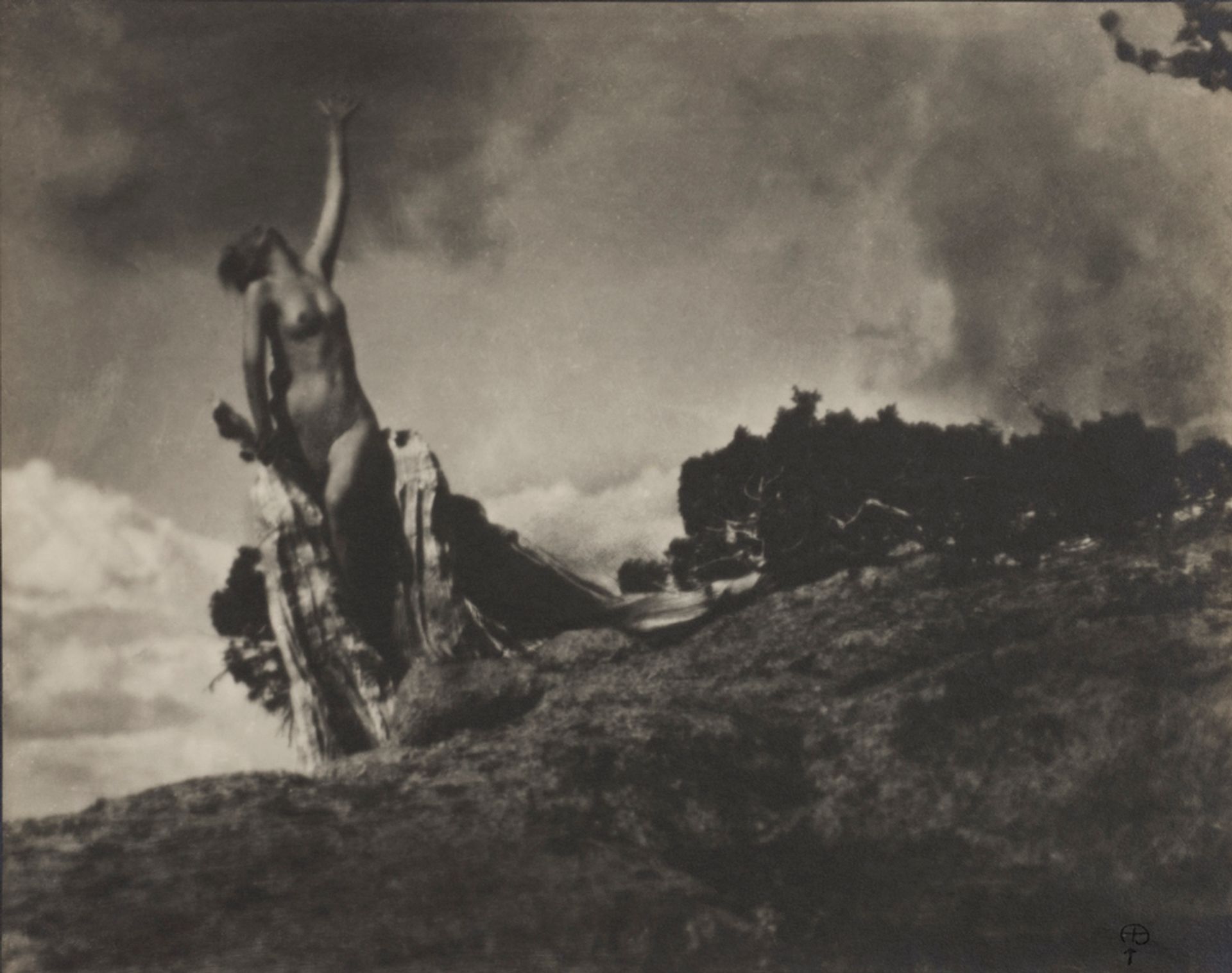 Anne Brigman, Soul of the Blasted Pine, 1906 Wilson Centre for Photography