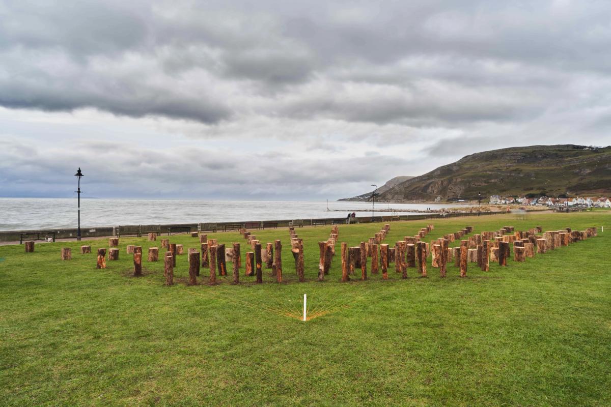 Rosemarie Castoro’s public art piece Trap a Zoid in Llandudno

courtesy Rob Battersby