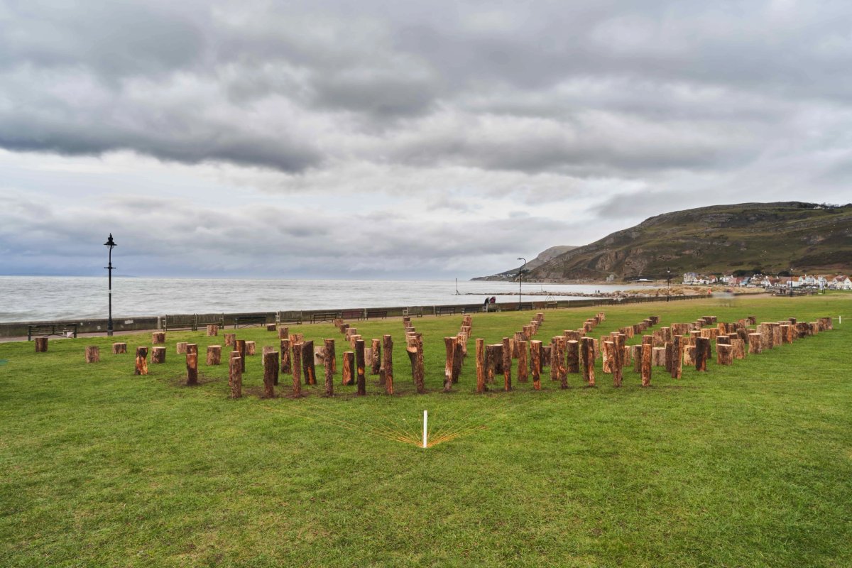 Rosemarie Castoro’s public art piece Trap a Zoid in Llandudno
courtesy Rob Battersby