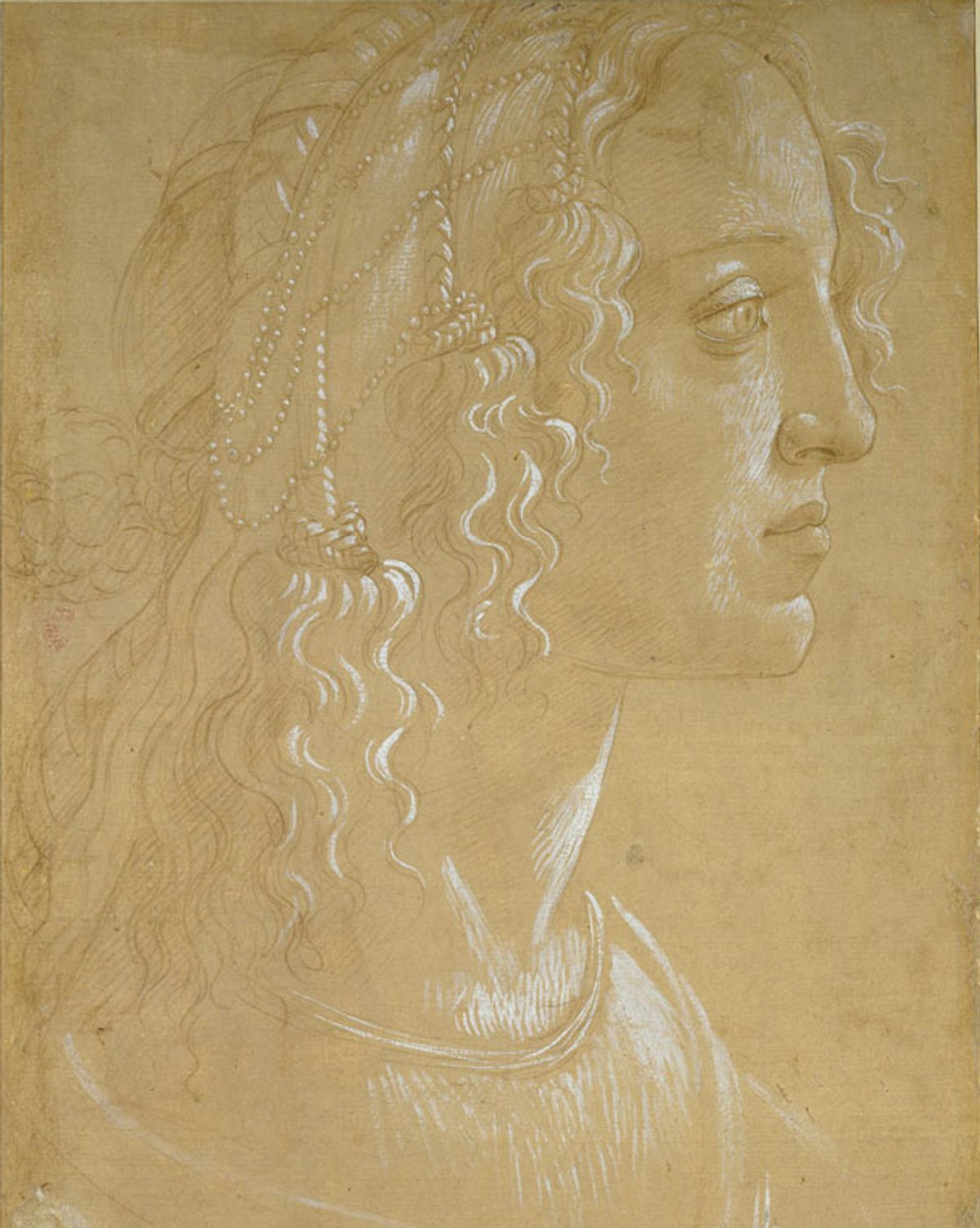 Sandro Botticelli's Study of the head of a woman in profile "La Bella Simonetta" (around 1485) was drawn using white gouache on light-brown prepared paper ©️ Ashmolean Museum