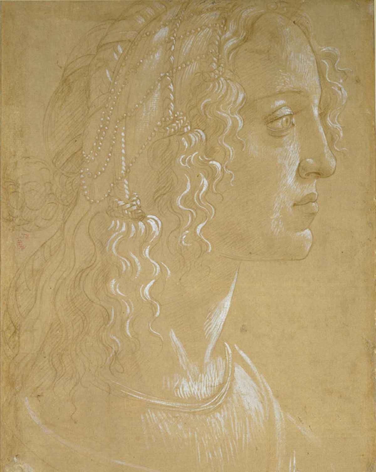 Sandro Botticelli's Study of the head of a woman in profile "La Bella Simonetta" (around 1485) was drawn using white gouache on light-brown prepared paper ©️ Ashmolean Museum