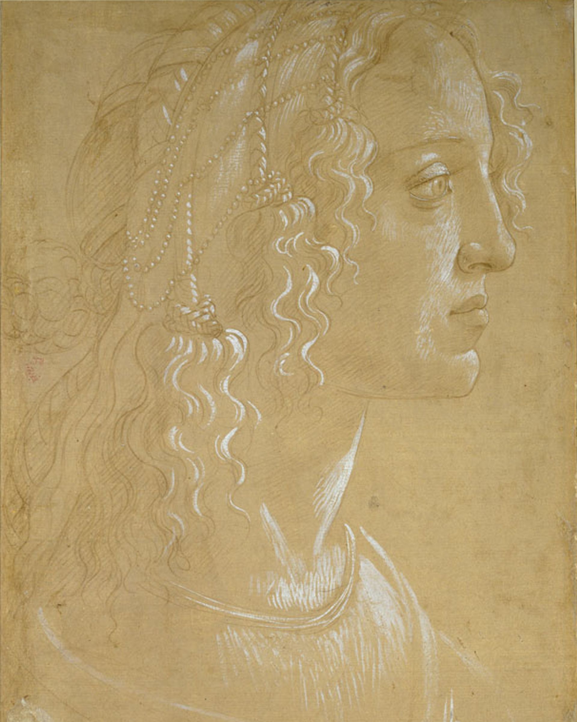 Sandro Botticelli's Study of the head of a woman in profile "La Bella Simonetta" (around 1485) was drawn using white gouache on light-brown prepared paper ©️ Ashmolean Museum