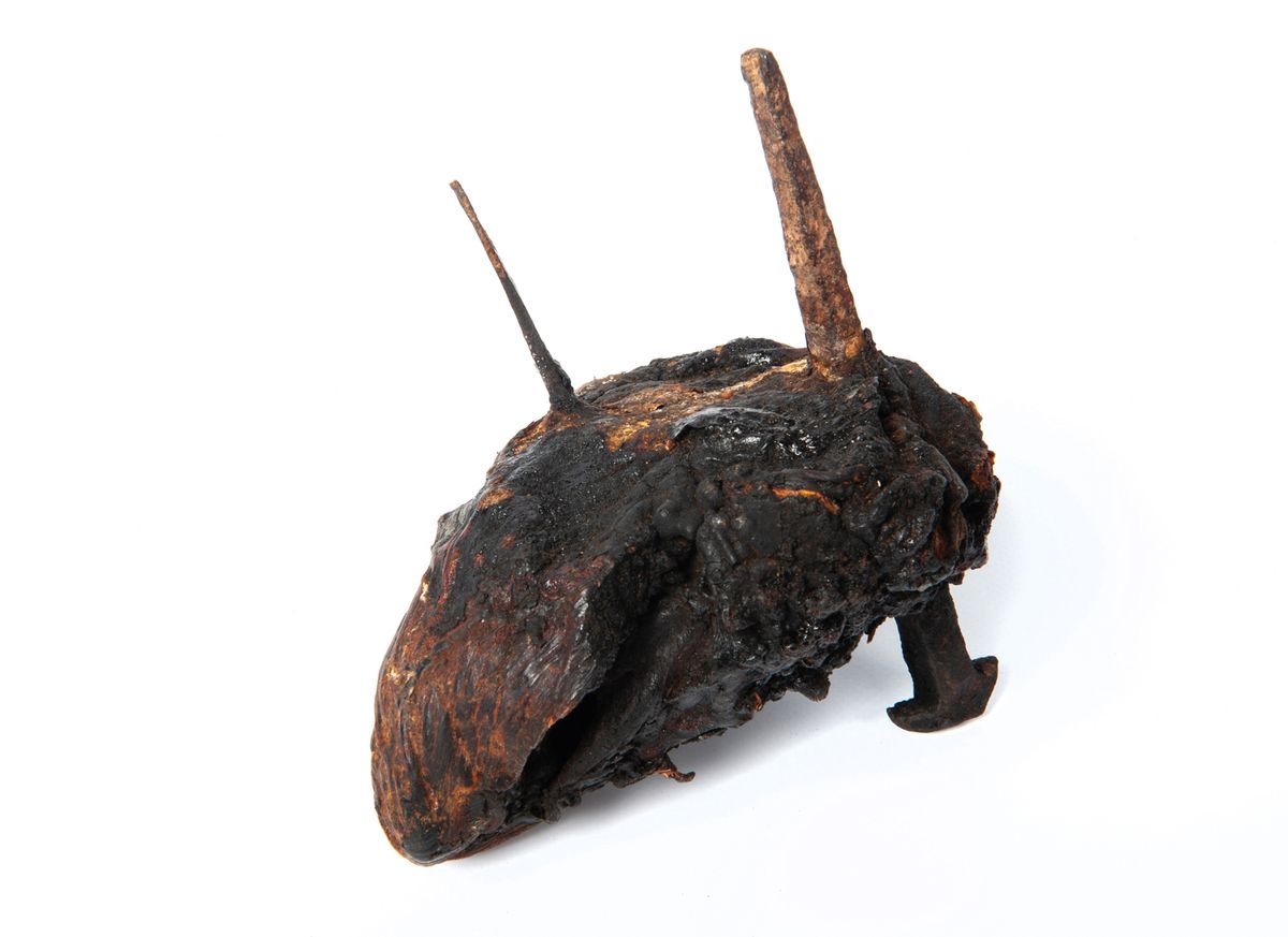 A bull’s heart pierced with iron nails and thorns found in a chimney at Shutes Hill Farm, Somerset (date unknown) © Pitt Rivers Museum, University of Oxford