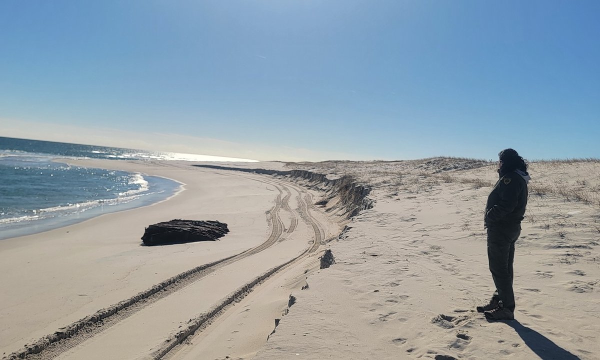 Remains of 19th-century schooner resurface on New Jersey coast – The Art Newspaper Remains of 19th-century schooner resurface on New Jersey coast – The Art Newspaper