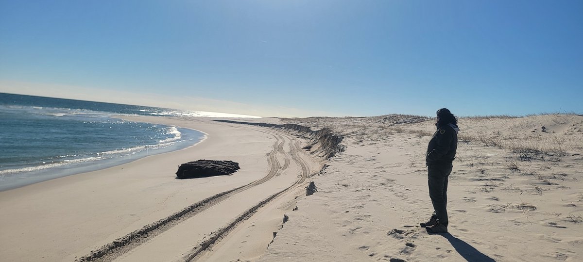Pieces of the Lawrence N. McKenzie recently washed up at Island Beach State Park, New Jersey Courtesy New Jersey Department of Environmental Protection