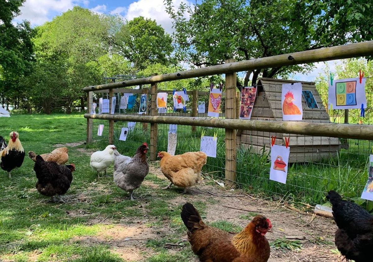 Visitors at the Exhibition for Chickens Courtesy of Jared Schiller