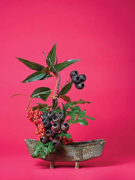 Denny Gallery is presenting Ann Shelton's pigment print The Scarlet Woman, Valerian (Valerian sp.) (2015–ongoing), at the second edition of Untitled in San Francisco Courtesy of Denny Gallery