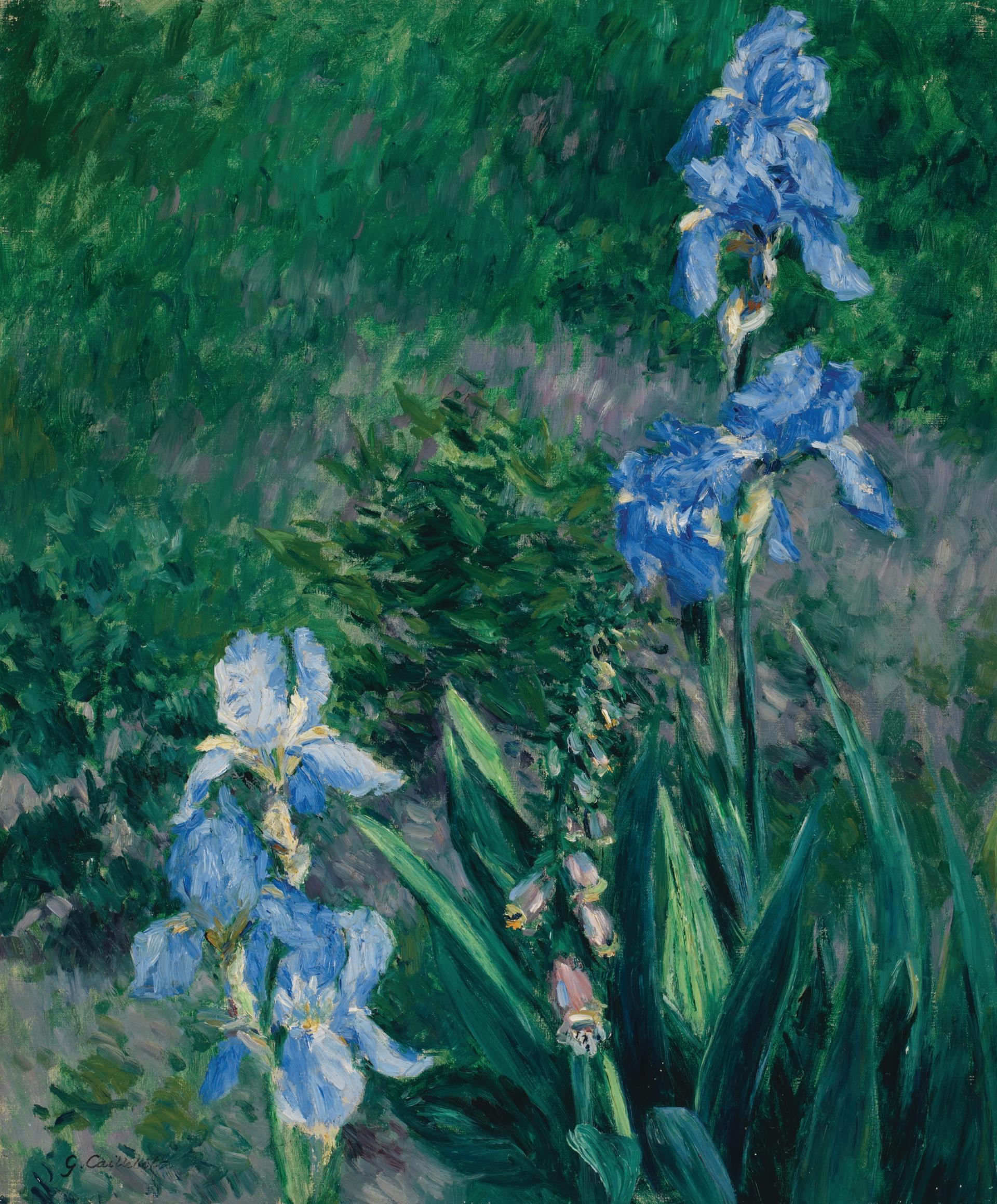 Caillebotte's Iris Bleus sold at Heffel auction house to a London dealer in 2016 but was denied an export licence Courtesy of Heffel Fine Art Auction House