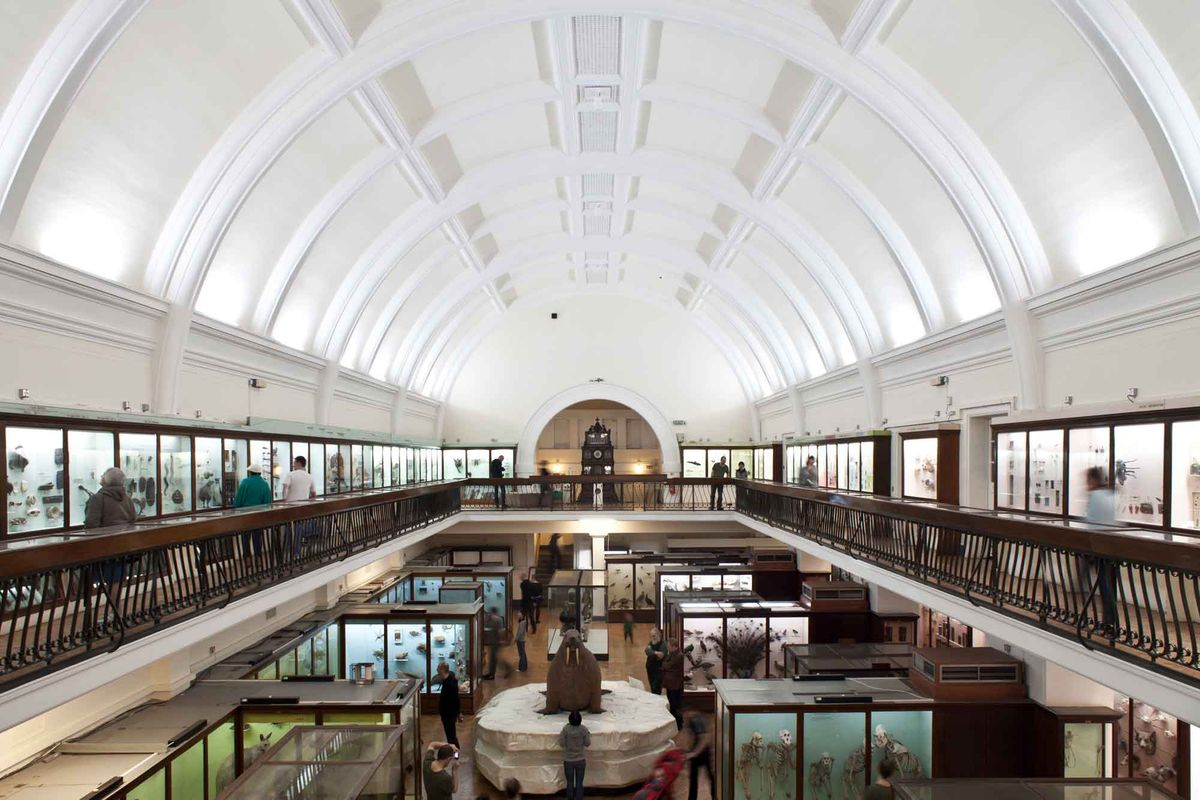 The Horniman Museum and Gardens in south London is leading a network of 12 UK institutions co-producing touring exhibitions based on their collections, with seed funding from the Art Fund Photo: Joel Knight