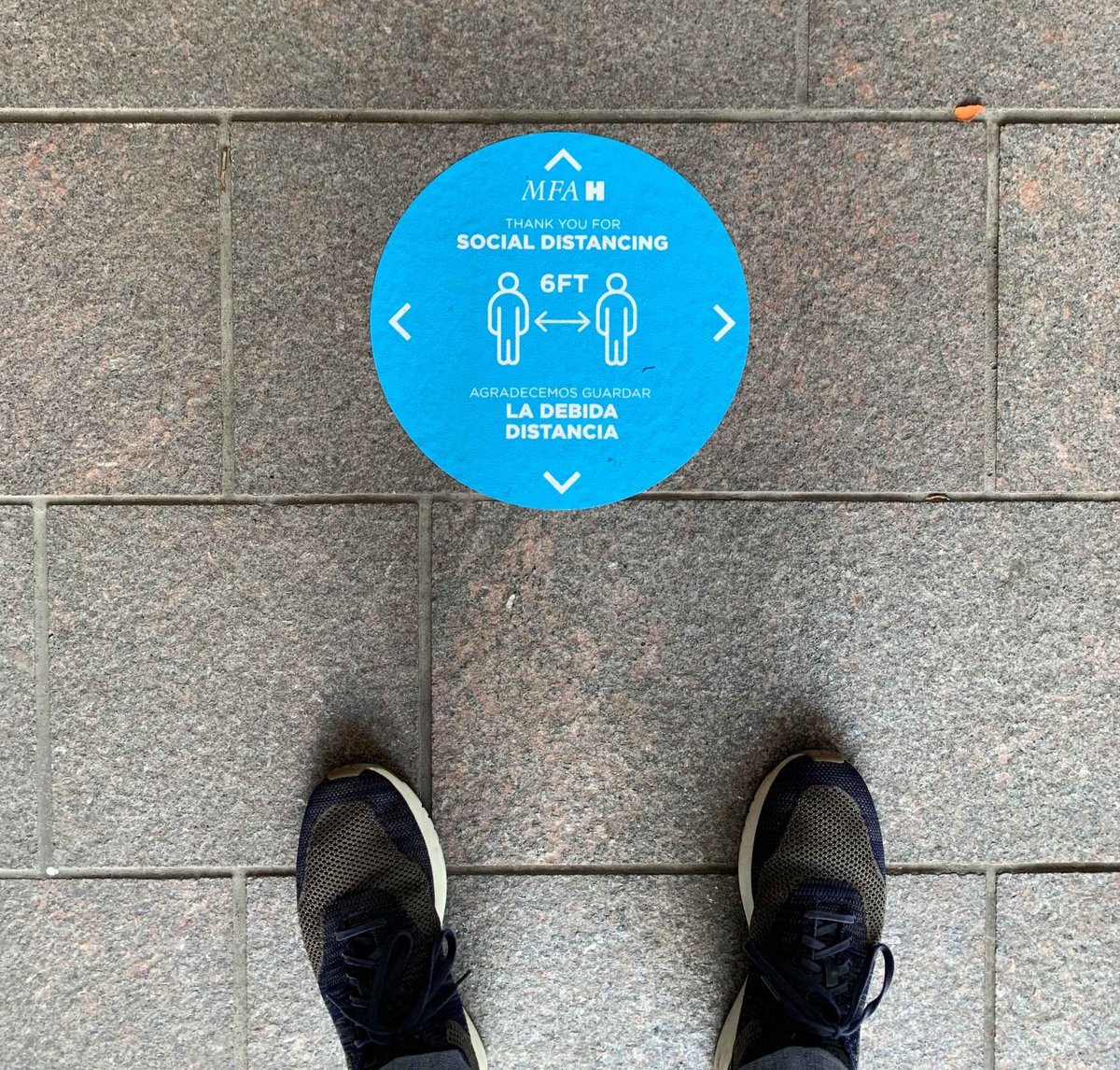 Social distancing separators at the MFAH on 23 May 2020 Photo: Brandon Zech/Glasstire