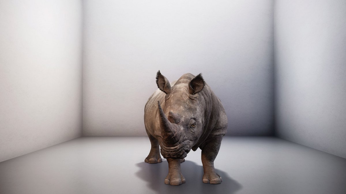 A still from Ginsberg’s video The Substitute, which examines the recreation of lost species © Cooper Hewitt