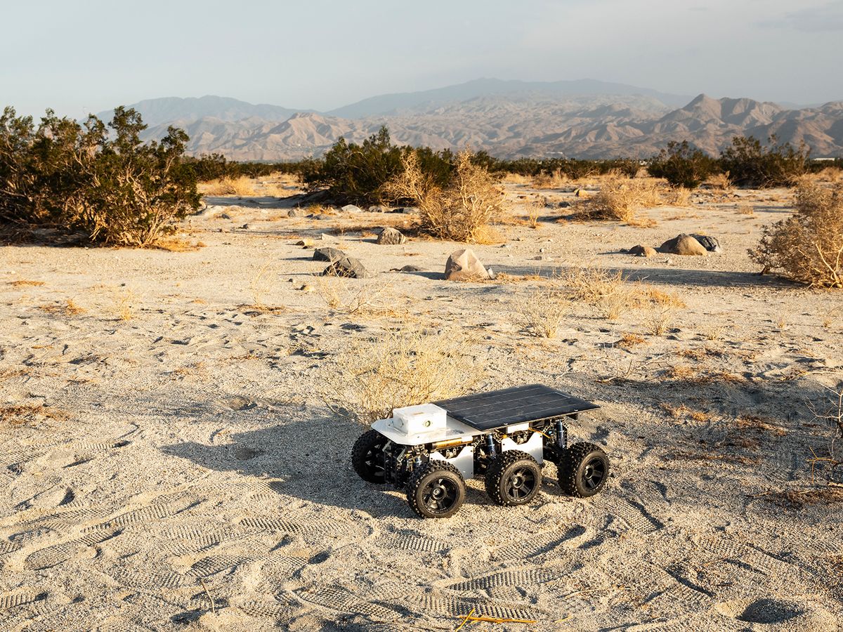 Shybot was found in Palm Springs, California, near Gene Autry Trail Photo: Lance Gerber, courtesy Desert X