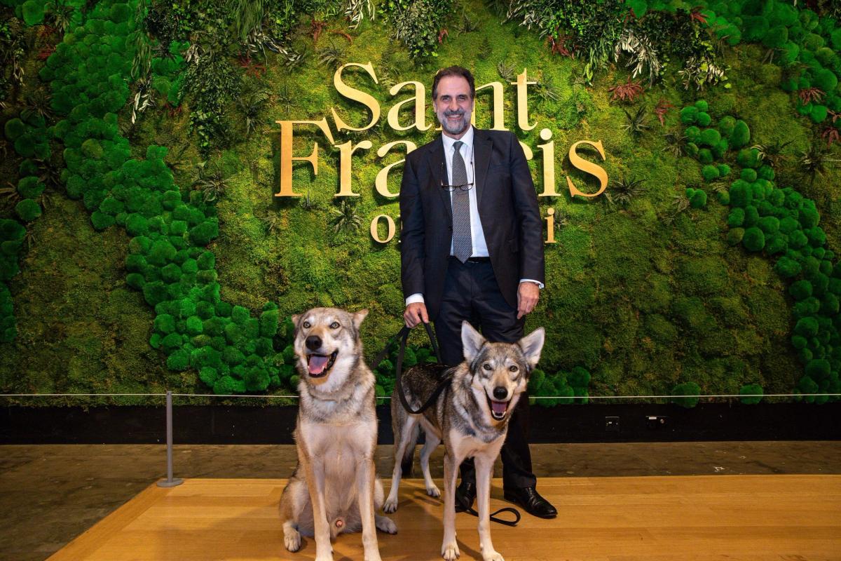 Dr Gabriele Finaldi, director of the National Gallery, at the opening of the Saint Francis of Assisi exhibition with two wolves (from Watermill wolves).
Photo: The National Gallery, London