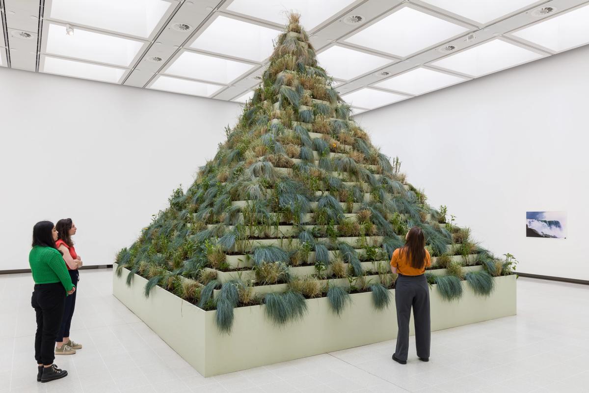 Installation view of Agnes Denes at Dear Earth: Art and Hope in a Time of Crisis (21 Jun –3 Sep 2023) 
Photo: Mark Blower. Courtesy of the Hayward Gallery.