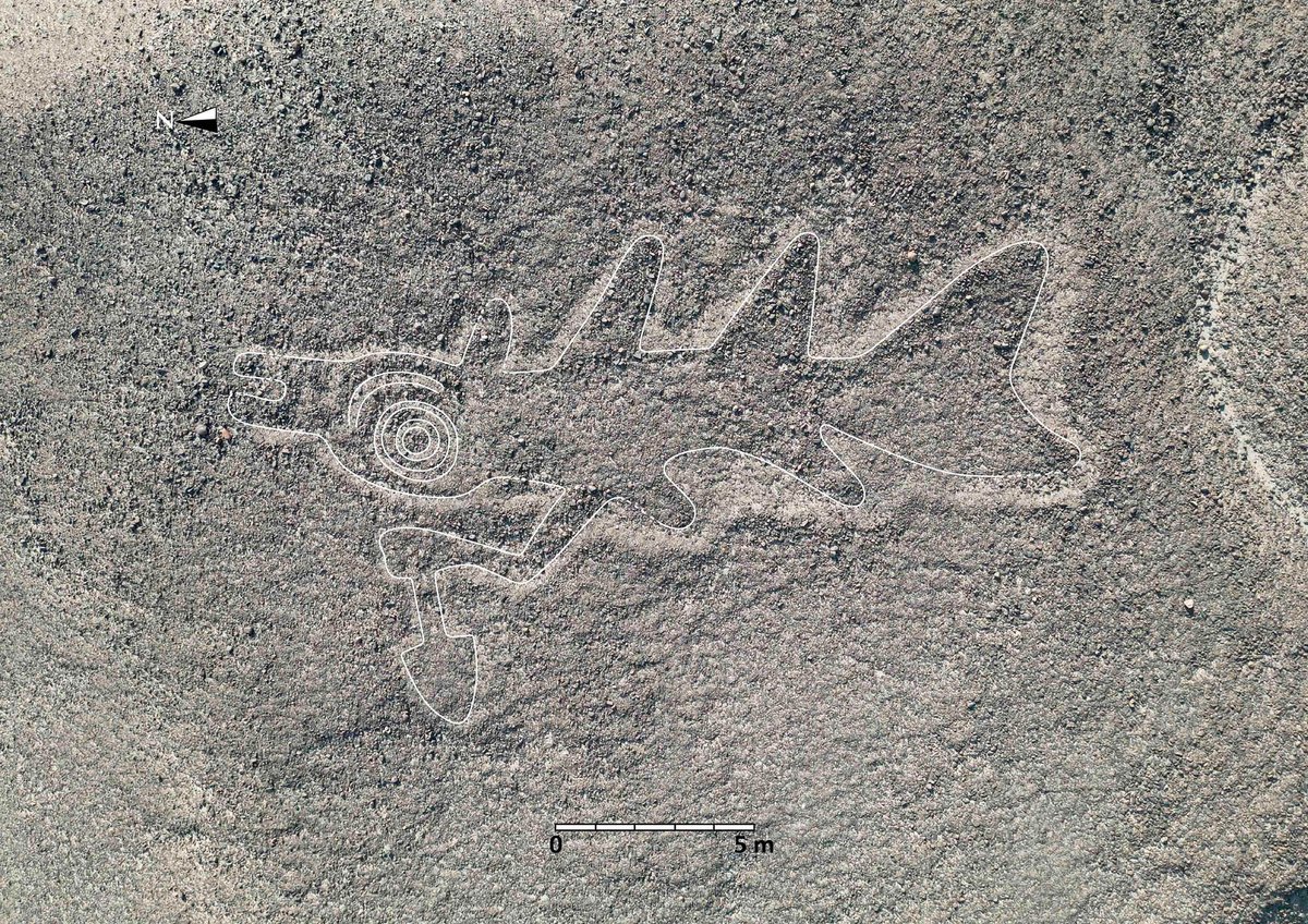 One of the ancient geoglyphs—mysterious designs in the desert in southern Peru, created by the Nazca people around 2,000 years ago—discovered using AI models that search aerial photographs Yamagata University Institute of Nasca