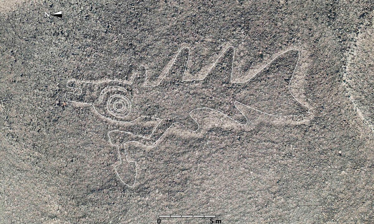 How AI models are helping to reveal South America's archaeological sites