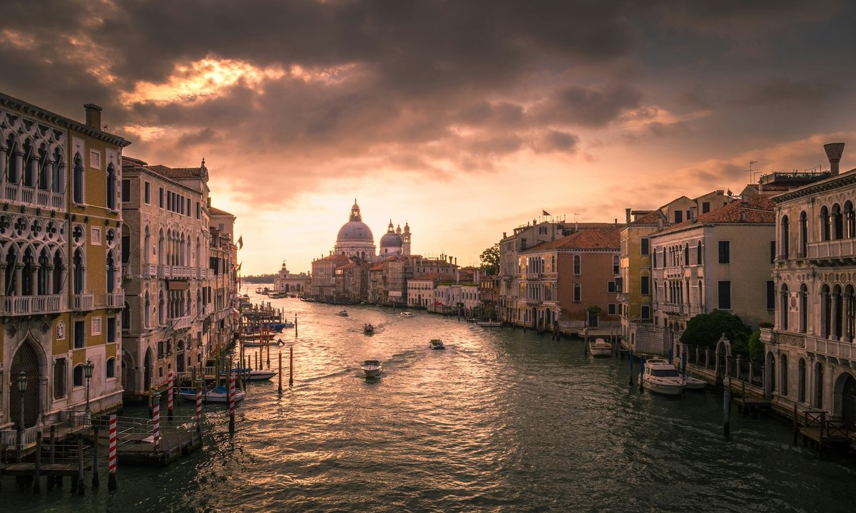 Venice Biennale’s jury resigns – The Art Newspaper