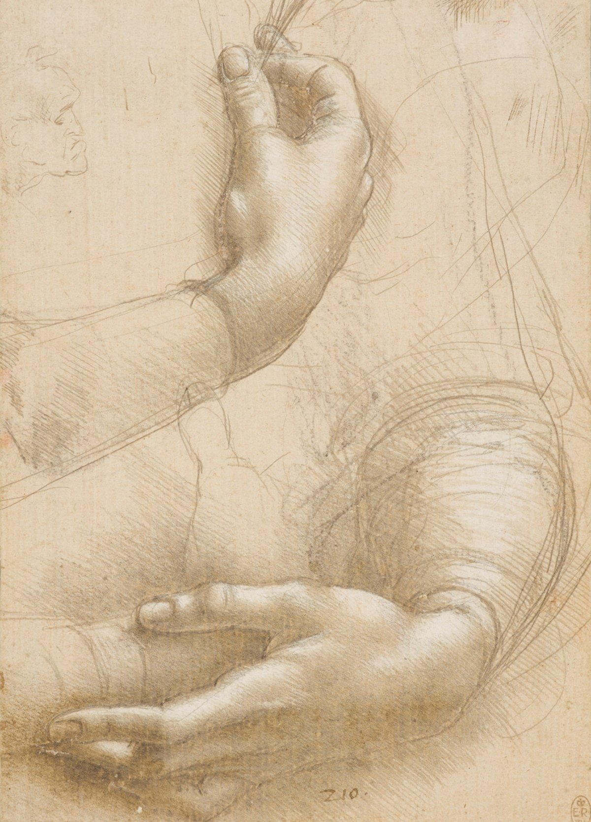 Leonardo Da Vinci’s A Study of a Woman’s Hands (around 1490) Courtesy of Royal Collection Trust © Her Majesty Queen Elizabeth II