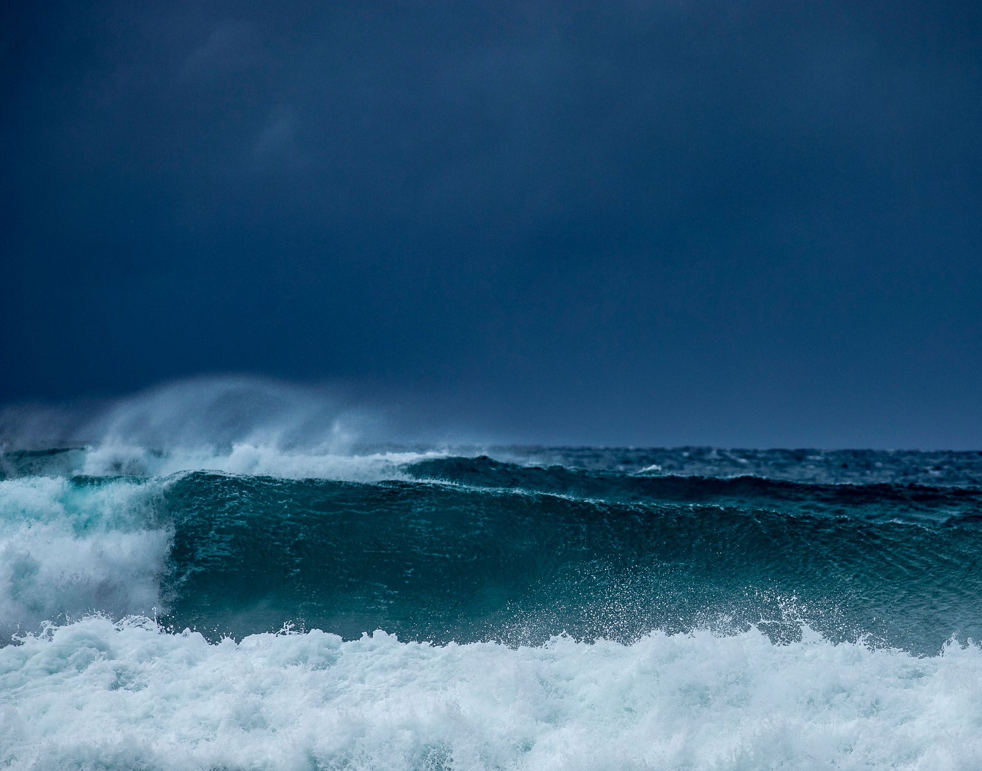 Hurricane Melissa relief: artists and art organisations lead fundraising efforts for devastated Caribbean