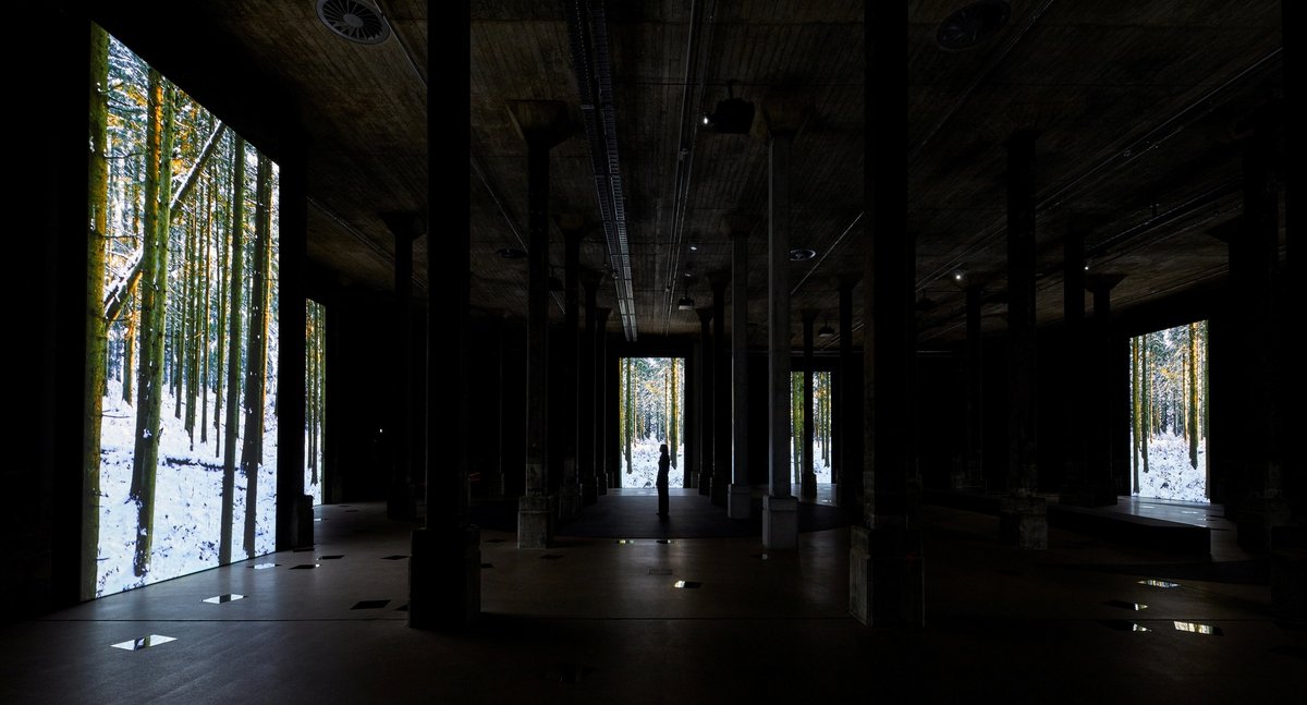 Installation view of Angelica Mesiti's The Rites of When (2024), commissioned by the Art Gallery of New South Wales for the Nelson Packer Tank © Angelica Mesiti, photo © Art Gallery of New South Wales, Jenni Carter