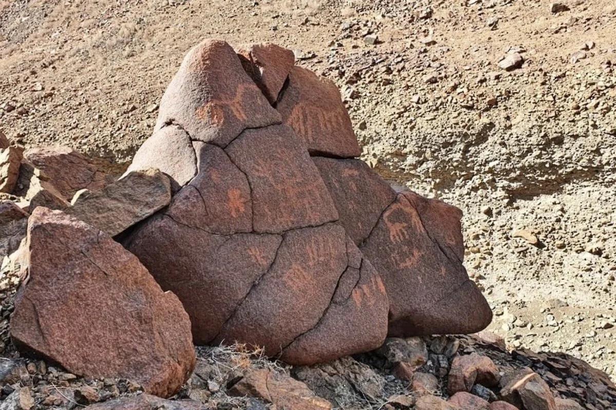 Researchers believe that the carvings on the rock art discovered in northern Oman may have been created over generations, possibly even across thousands of years Image courtesy of the Omani Ministry of Heritage and Tourism