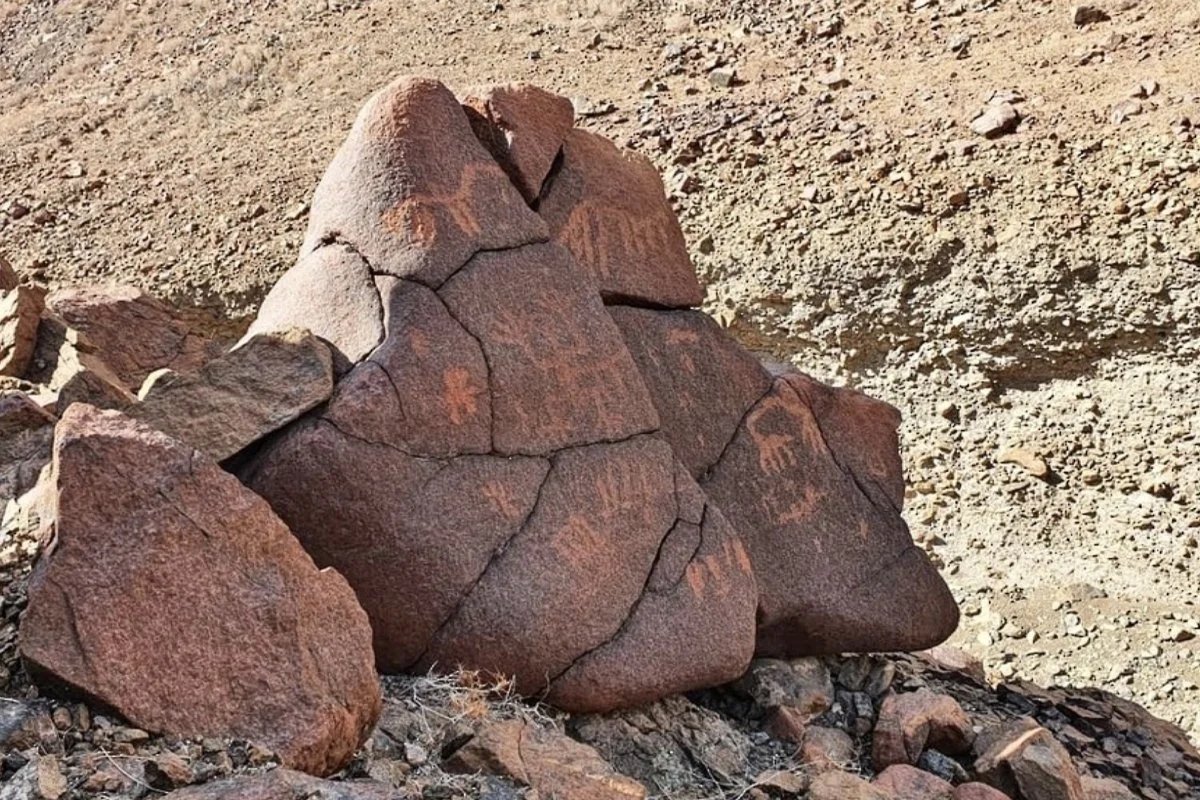 Researchers believe that the carvings on the rock art discovered in northern Oman may have been created over generations, possibly even across thousands of years Image courtesy of the Omani Ministry of Heritage and Tourism