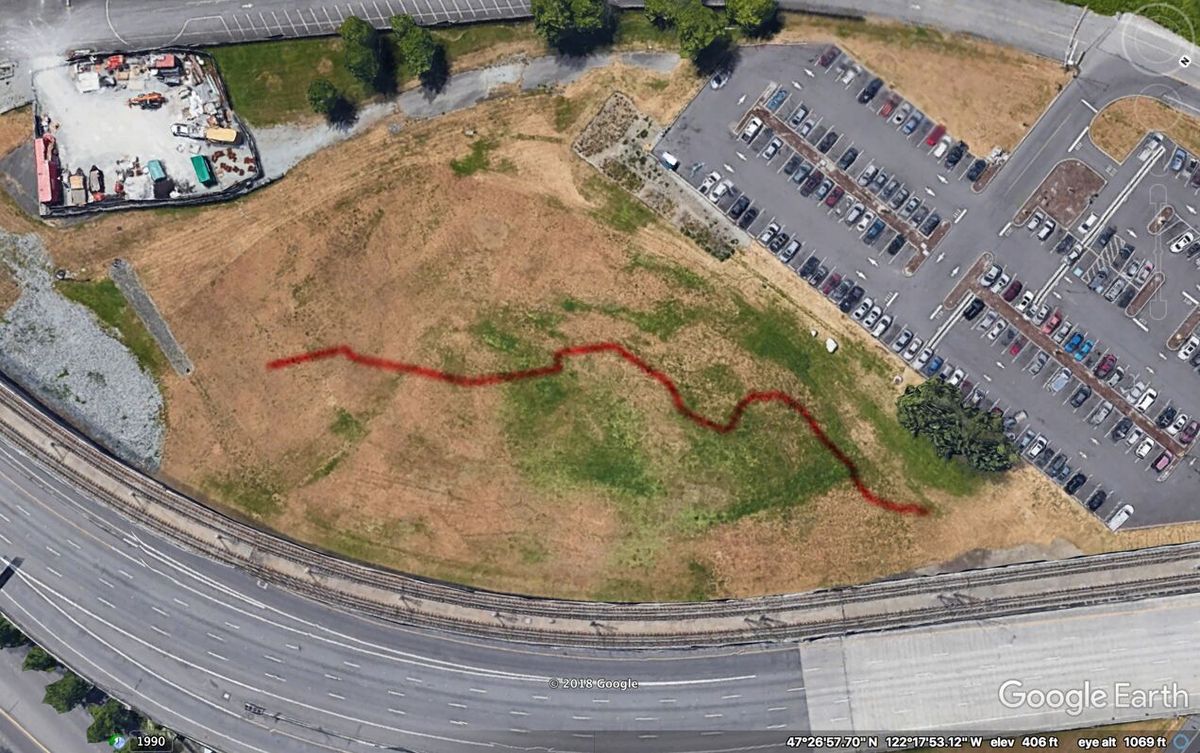 A rendering of Molly Gochman's future installation at the Seattle-Tacoma International Airport Courtesy of the artist