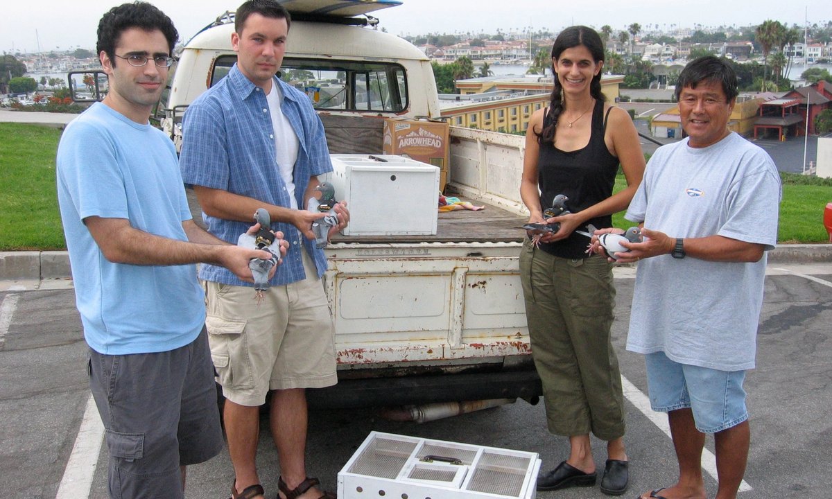 Beatriz da Costa’s pigeon-based eco-art project takes flight again in Los Angeles