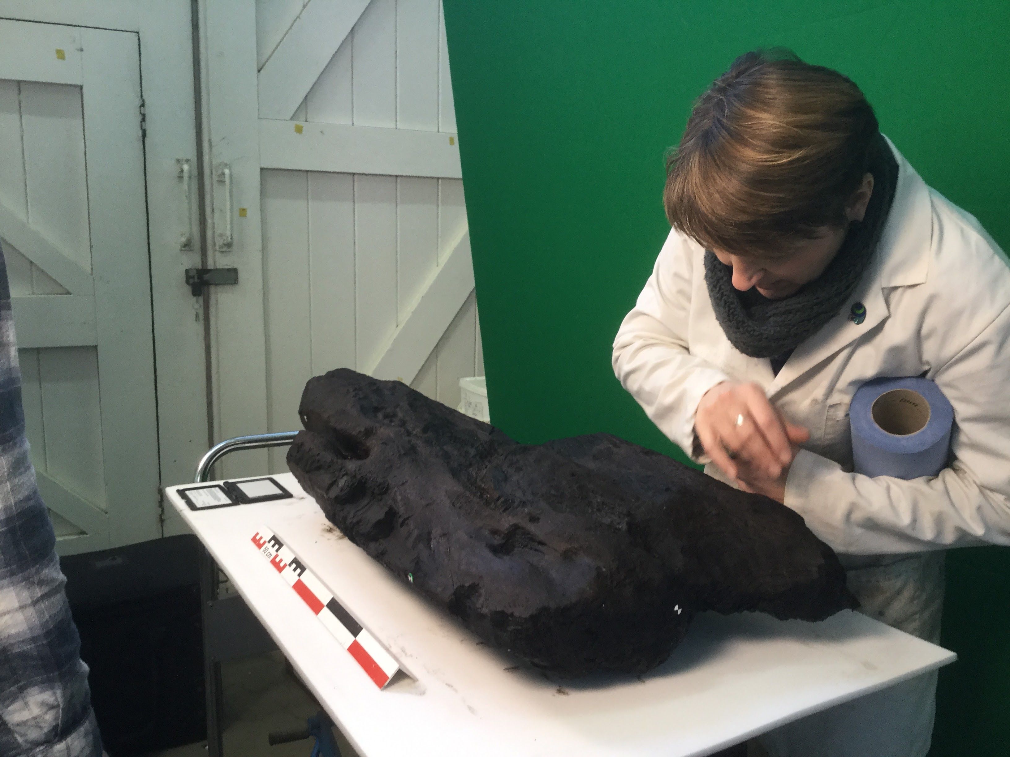 A senior archaeological conservator at Historic England prepares the Boxford timber for scanning at Fort Cumberland © Historic England