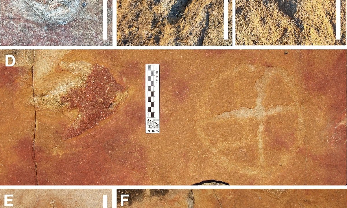 Archaeologists in Brazil discover petroglyphs alongside dinosaur tracks Archaeologists in Brazil discover petroglyphs alongside dinosaur tracks