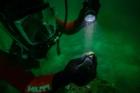 Signet ring depicting the Lighthouse of Alexandria—a lost wonder of the ancient world—discovered during underwater excavation