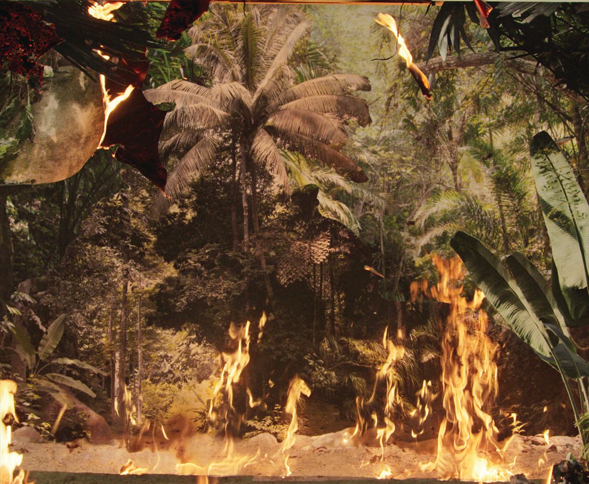 Noémie Goudal’s film Below the Deep South (2021), depicting a tropical forest consumed by flames, is on show at the fair with London’s Edel Assanti gallery, one of more than 550 members of the Gallery Climate Coalition © Noémie Goudal; courtesy of Edel Assanti