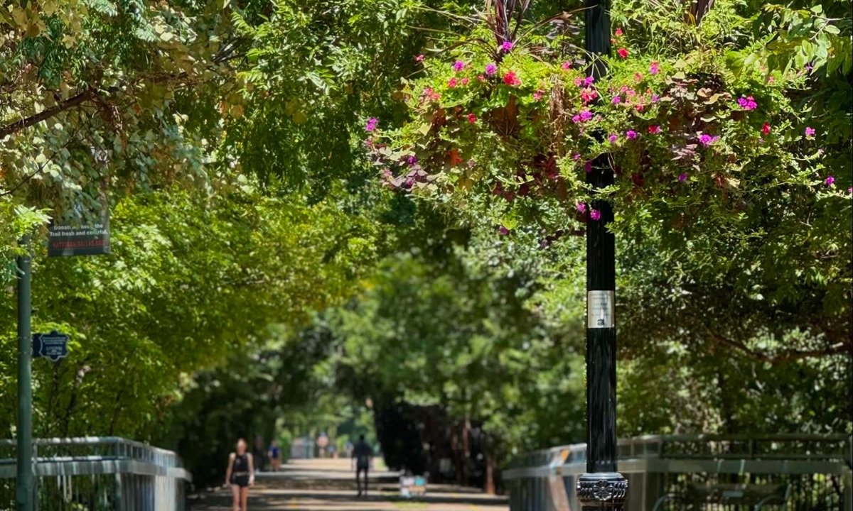 New public art biennial to take over Dallas's urban greenbelt park