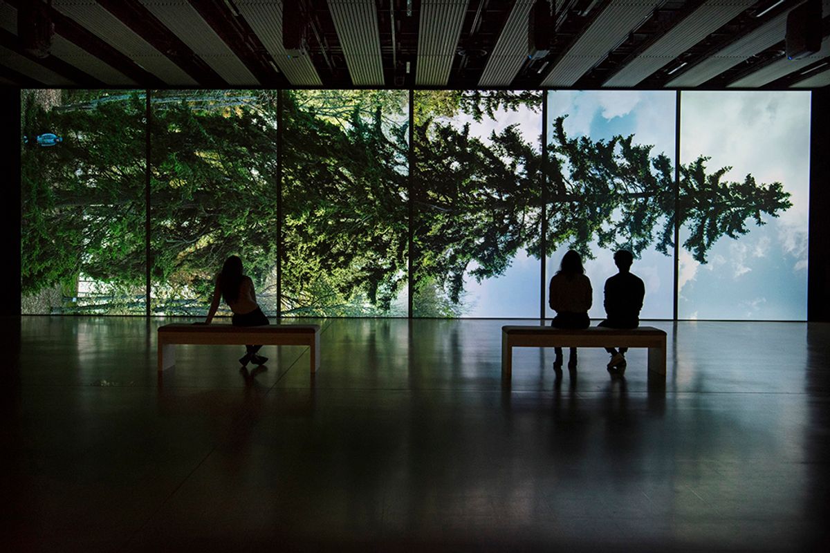 Eija-Liisa Ahtila's Horizontal–Vaakasuora, (2011), at Among the Trees, Hayward Gallery (2020) © Crystal Eye, Helsinki, 2020. Courtesy of Hayward Gallery. Photo Linda Nylind