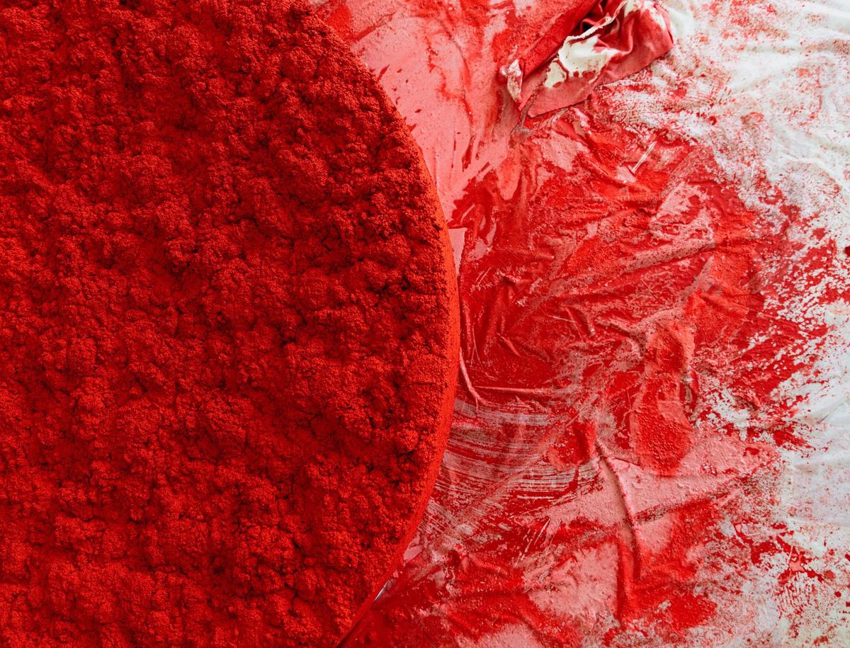 Cochineal. A close up of Bosco Sodi's work at the Palazzo Vendramin Grimani in Venice. Image by Andrea Avezzú