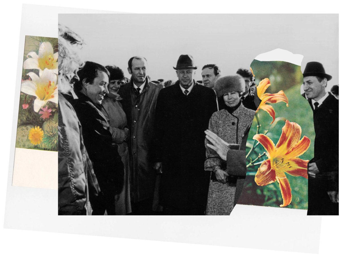 Detail of the research platform ASI's (The Agency of Singular Investigations) multimedia installation The Flower Power Archive (2018) Courtesy of the artists