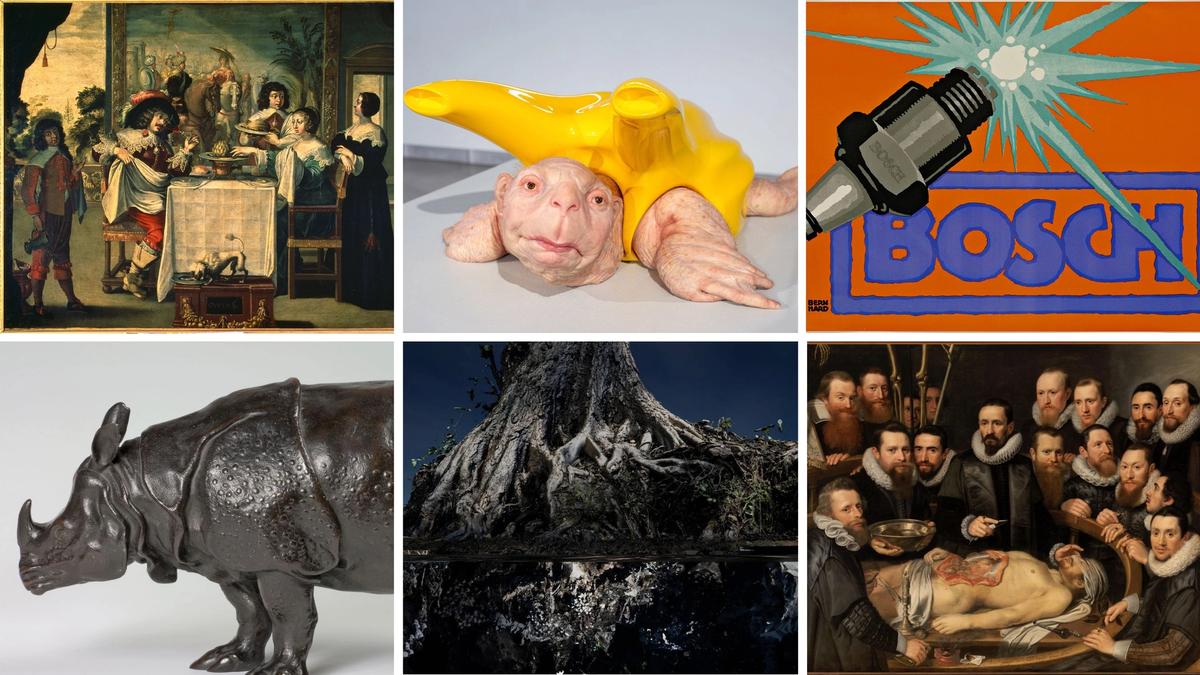 Some of the weird and wonderful exhibitions taking place in 2021