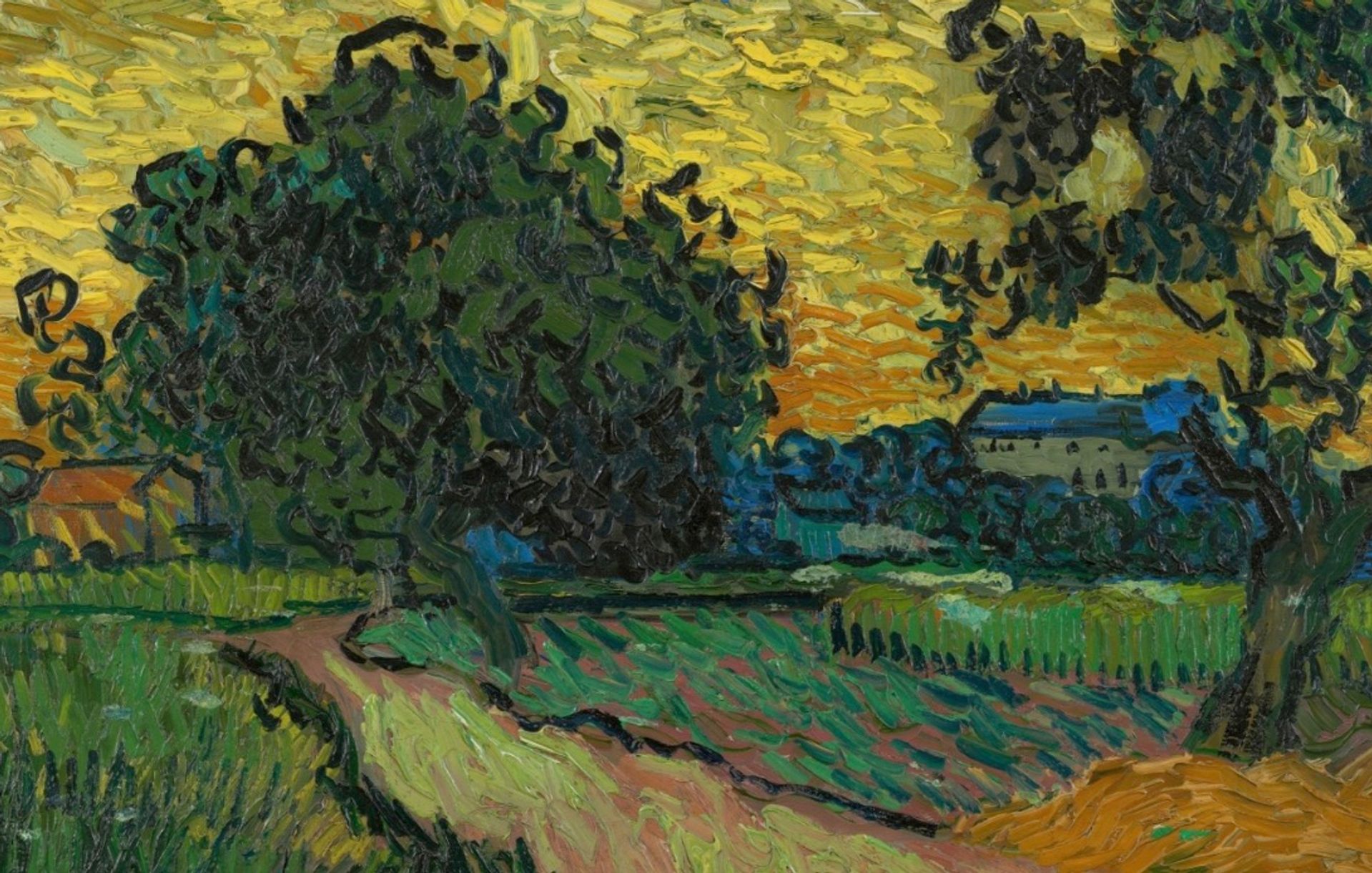 70 paintings in 70 days: Van Gogh's astonishing achievement at the
