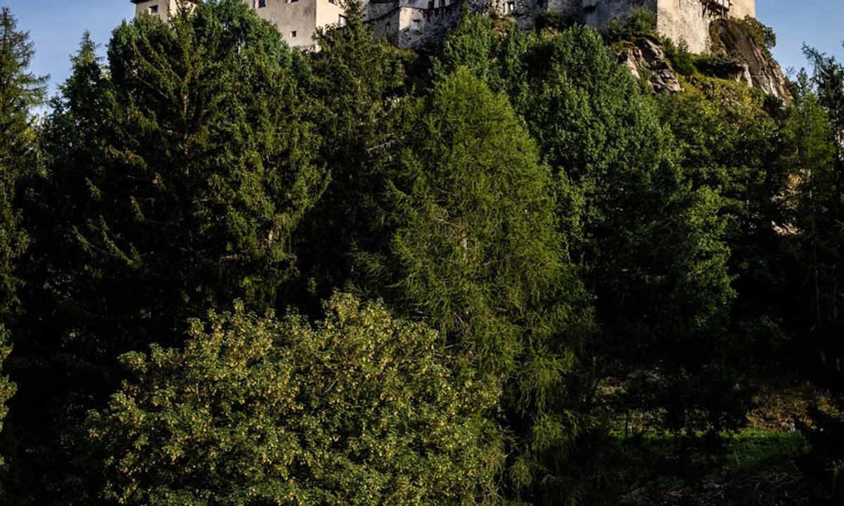 Towering ambition: the Swiss artist Not Vital's Alpine playground
