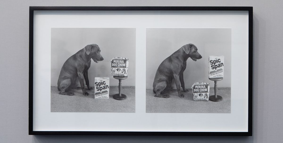 William Wegman, Spic and Chow/Span and Chow (1975), $40,000. Sperone Westwater, Frieze Masters. Photo: © David Owens