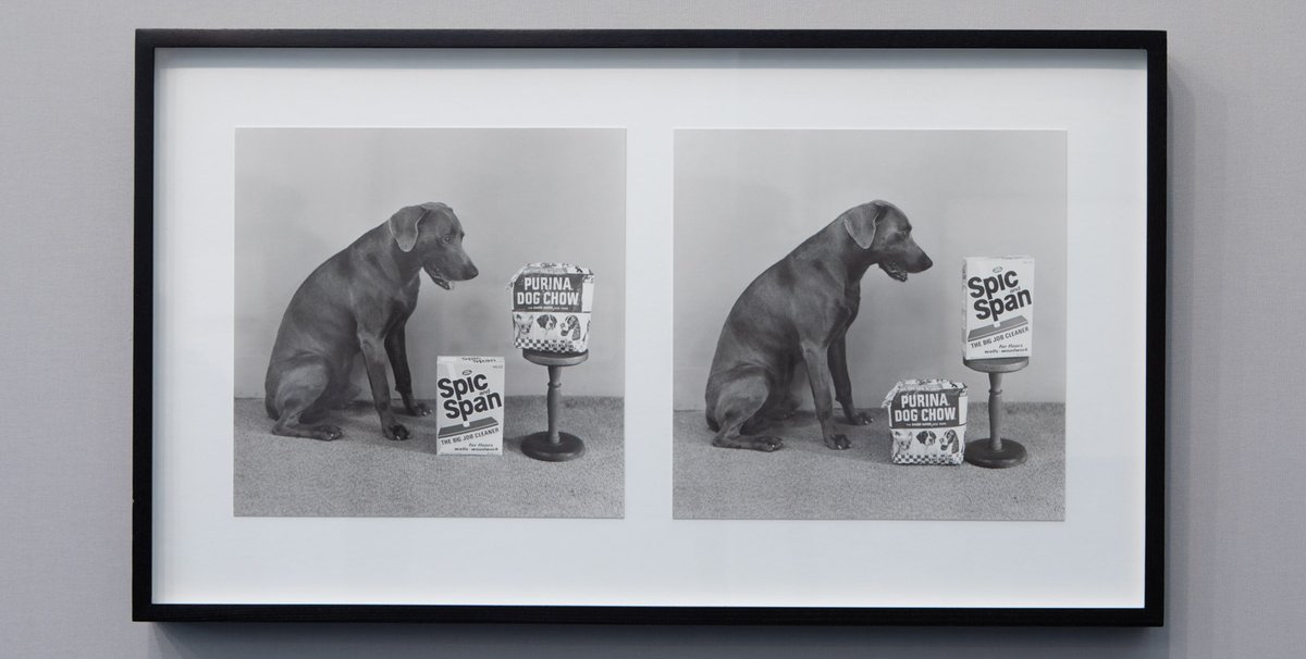 William Wegman, Spic and Chow/Span and Chow (1975), $40,000. Sperone Westwater, Frieze Masters. Photo: © David Owens
