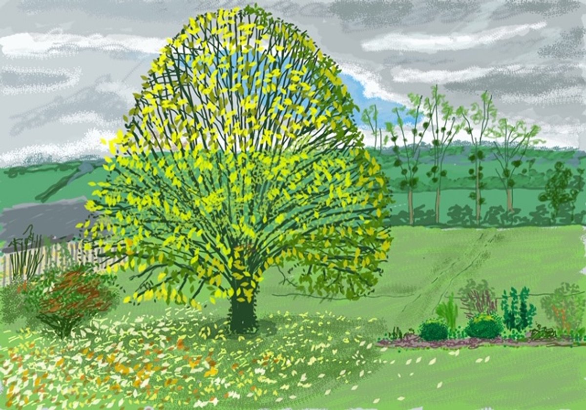 David Hockney, The Big Tree in Autumn (30 October 2020) © David Hockney