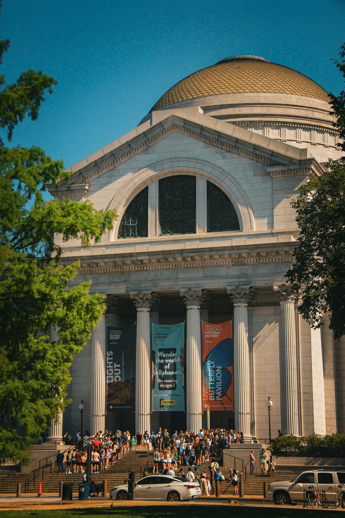 The Smithsonian's National Museum of Natural History in Washington, DC, is one of the many museums that will be forced to close if the US government shutdown lasts for more than a few days Photo by Joe on Unsplash