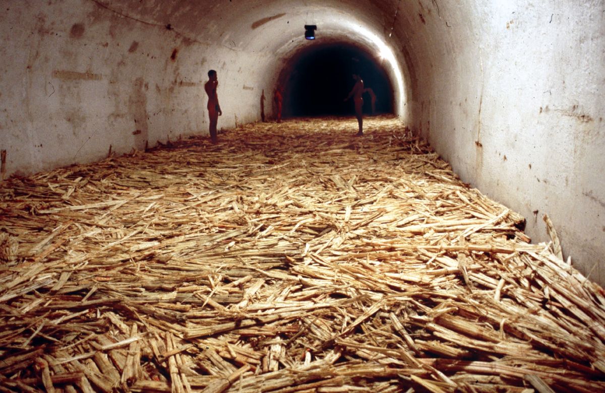 An installation view of the original performance of Tania Bruguera’s Untitled (Havana, 2000) Courtesy of the artist. Photo: Casey Stoll