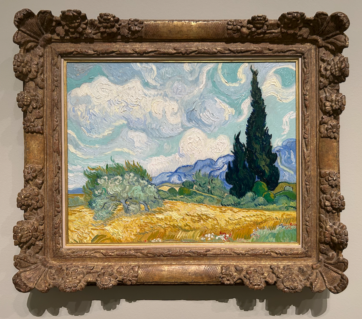 Van Gogh’s The Cypress and the Flowering Tree (September 1889) in Gustave Fayet: Collector - Artist Designer at the Fondation Louis Vuitton, Paris

The Art Newspaper (photograph)
