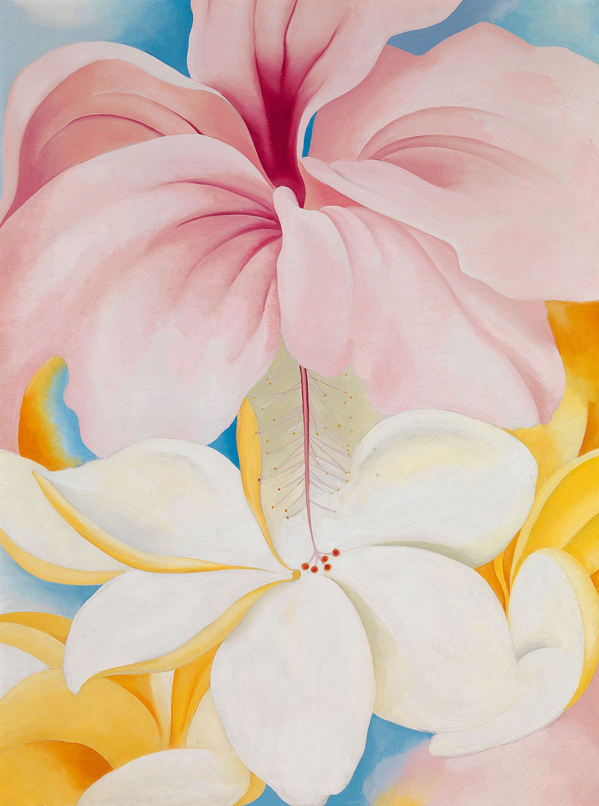 Georgia O’Keeffe, Hibiscus with Plumeria (1939) 2018 Georgia O’Keeffe Museum  /  Artists Rights Society (ARS),  New York