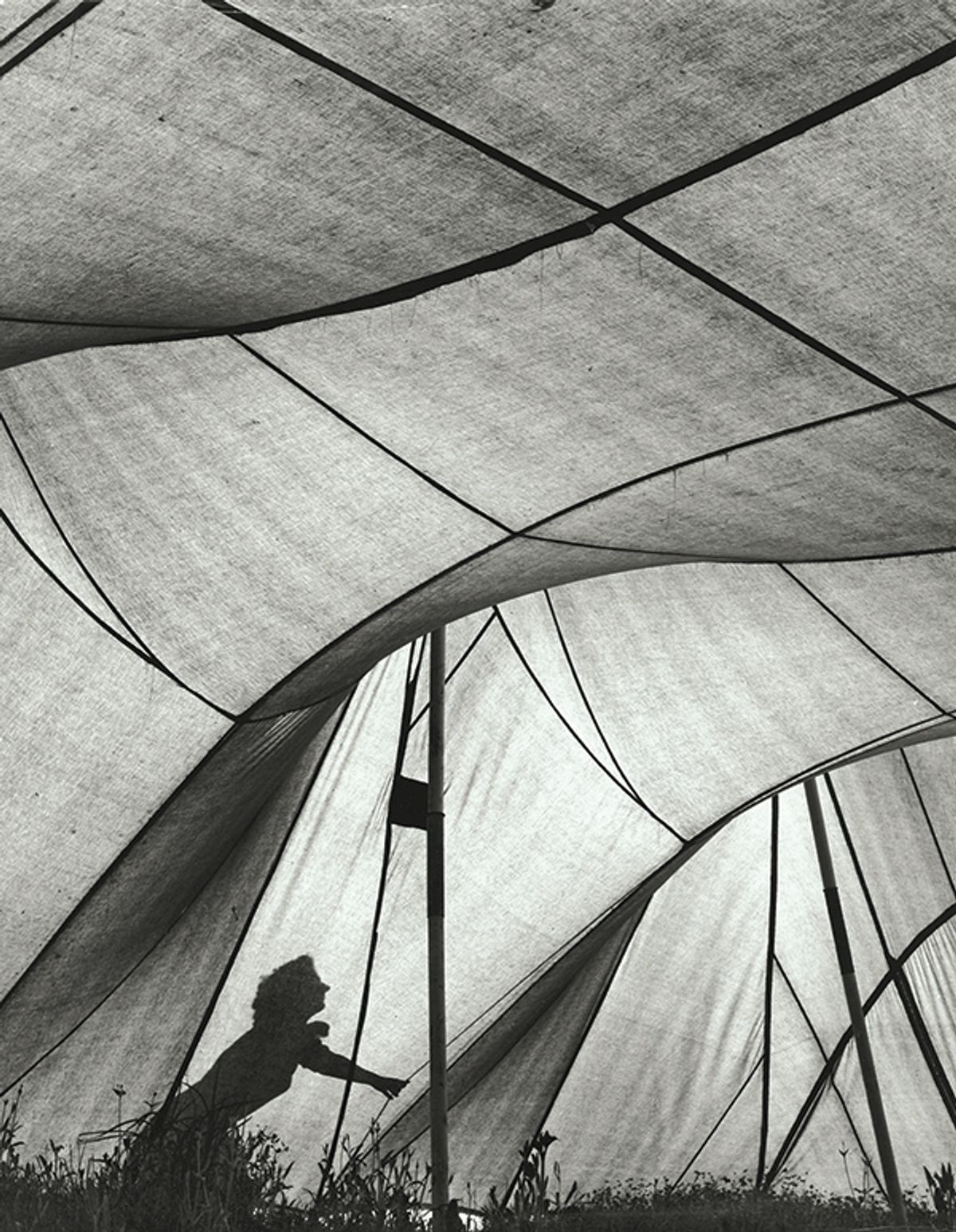 Grisebach plans to show Ludwig Windstosser’s Zelt im Gegenlicht (1950) during Düsseldorf Photo Weekend Ludwig Windstosser/courtesy Düsseldorf Photo Weekend