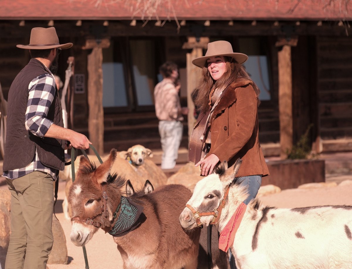 Miniature donkeys greet visitors to the Pioneertown Motel during the High Desert Art Fair on 8-9 March Courtesy High Desert Art Fair