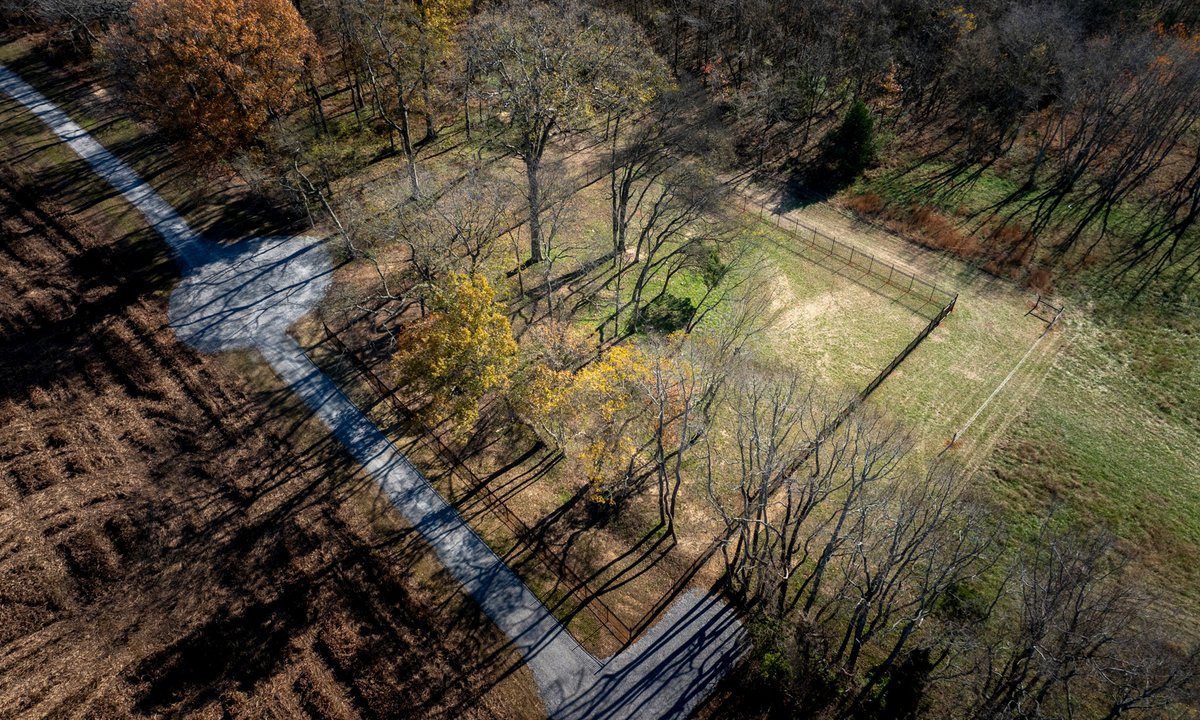 Cemetery for enslaved people rediscovered at Andrew Jackson’s Tennessee plantation – The Art Newspaper Cemetery for enslaved people rediscovered at Andrew Jackson’s Tennessee plantation – The Art Newspaper