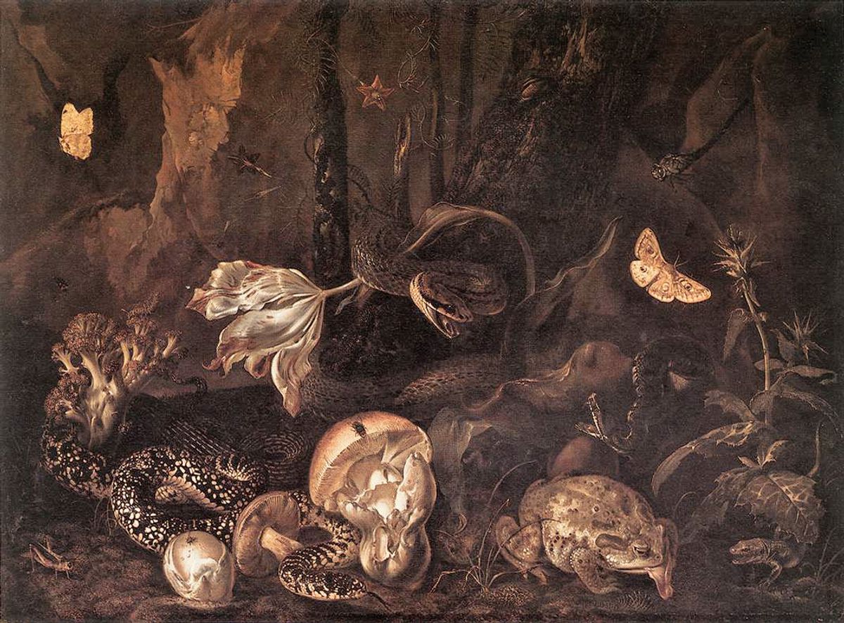 … you’re sure of a big surprise: Otto Marseus van Schrieck, Still-Life with Insects, Amphibians, and Reptiles (1662) Courtesy of the Herzog Anton Ulrich-Museum, Braunschweig